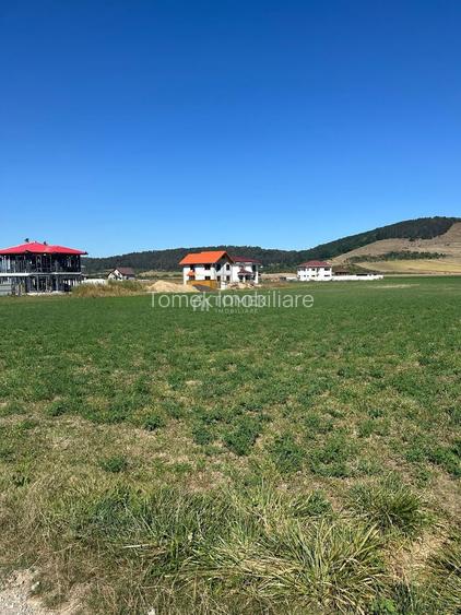 Teren intravilan Sanpetru Lempes str Dealului - 6