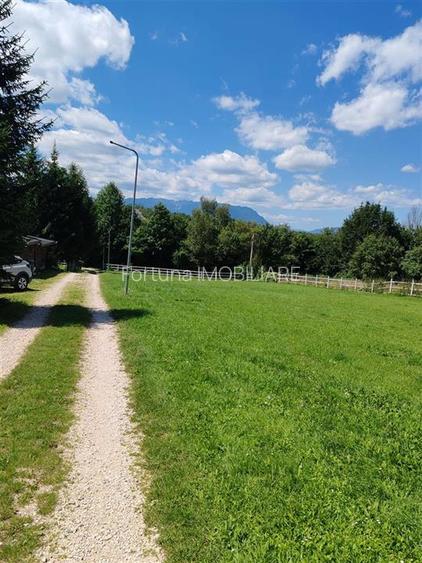 Teren Rasnov Glajarie 2000Mp Intravilan - 3