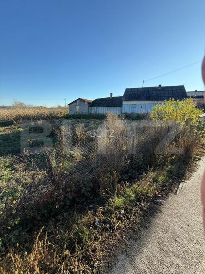 Casa batraneasca, 50 mp si teren intravilan 4900 mp, Udesti - 6