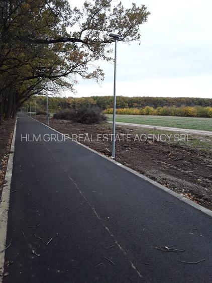 PROPRIETAR-TEREN 570 mp - Calul Balan/LAC/ PADURE/Buftea(loturi) - 2