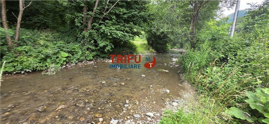 Teren ideal pentru cabană sau pensiune în Poiana Galdei