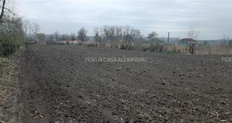 Teren pentru constructii case de vanzare Iasi Prisacani - 4