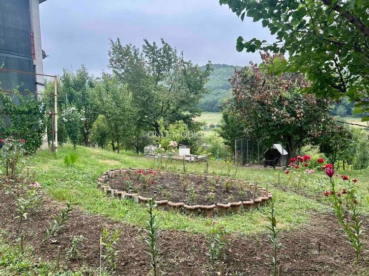 Casă P+M Chicerea Tomesti cu 2.200 mp teren, 30 ml la asfalt, livadă matură și mansardă - 8