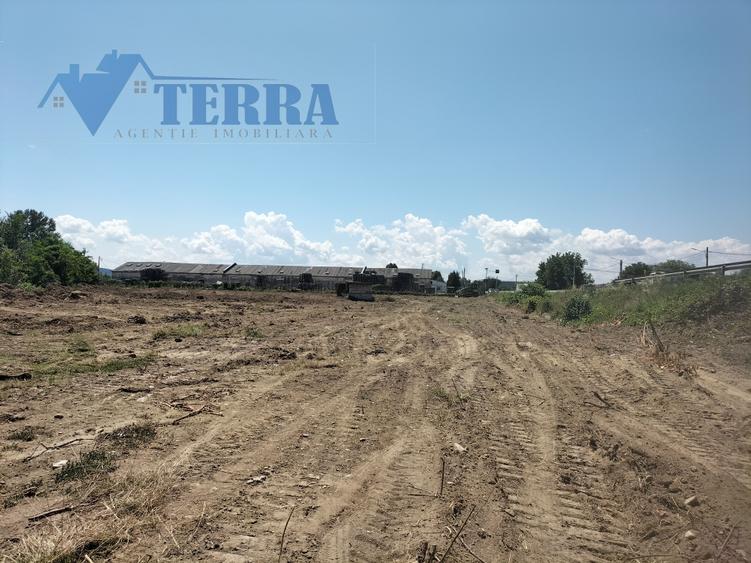 Teren intravilan 7.500 mp | DN73 | 4 km de Dacia Mioveni