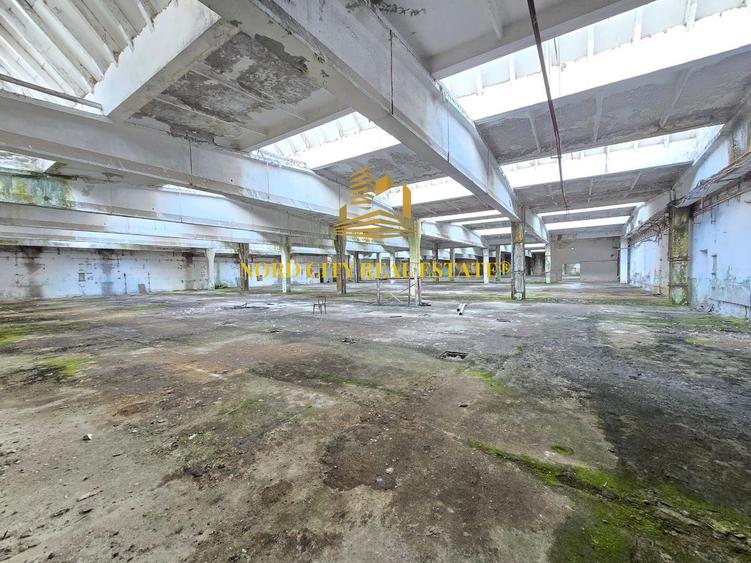 Platforma Industriala-8 ha -Fabrica-Hale Productie-21.500 mp