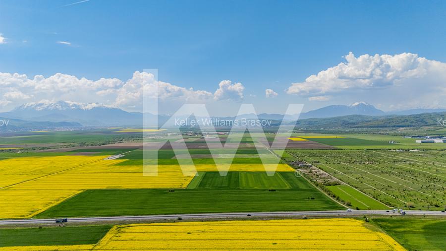 Teren 10.600 mp în Codlea – ideal pentru investiție industrială - 9