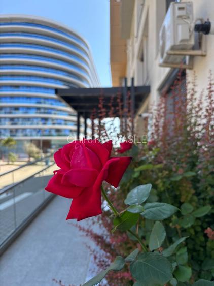 Mamaia Nord Complexul Onyx Resort/Apartament cu 2 camere/Loc de Parcare - 6