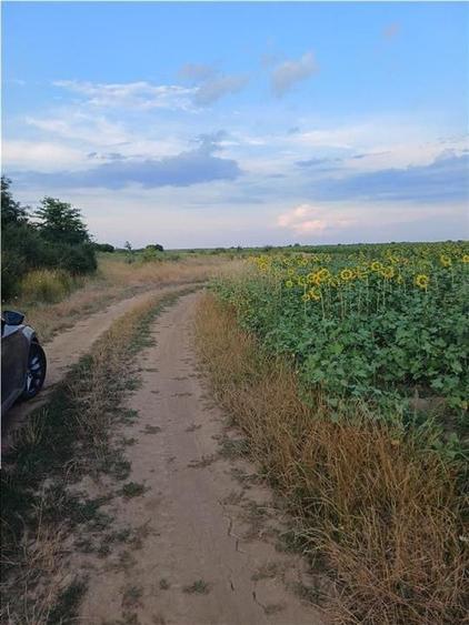 Otopeni-Str.Dr.Garii Balotesti-70.000mp-front 220ml-Ideal Investitie