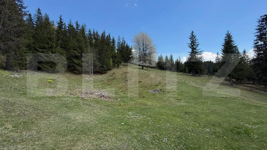 Teren intravilan si extravilan 23.000 mp, front 150 ml, Sadova - Bucovina