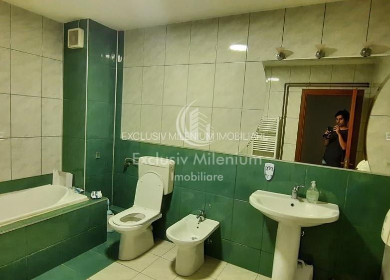 Piata Victoriei Vila / Casa Birouri - Titulescu - 4