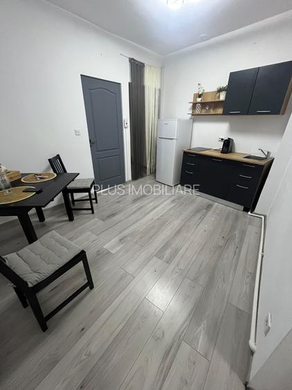 Apartament 2 camere in Vila zona Cismigiu - 8