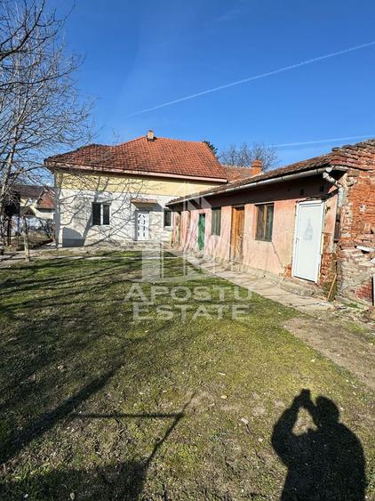 Casa individuala de vanzare Timisoara Ronat