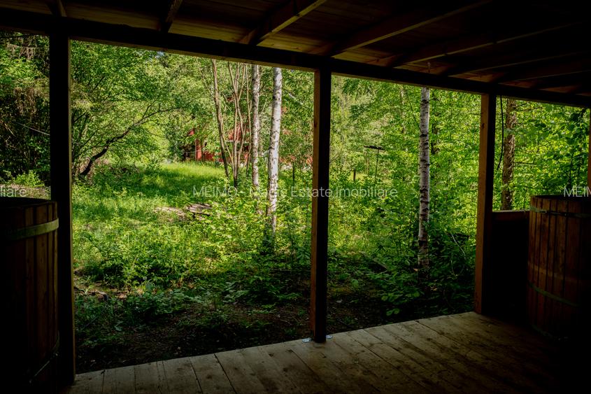 Cabană: afacere și vacanță în același loc | Camenca, Brusturoasa - 7