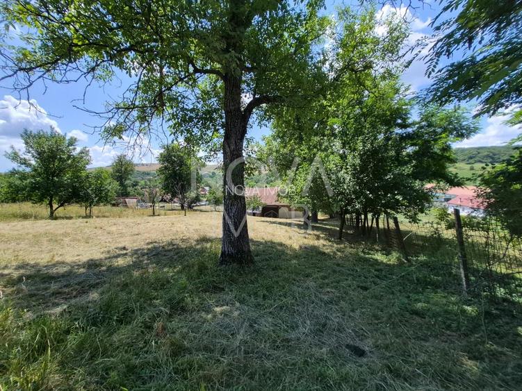 Casa individuala cu teren generos – 8.356 mp – Tichindeal, jud. Sibiu - 47