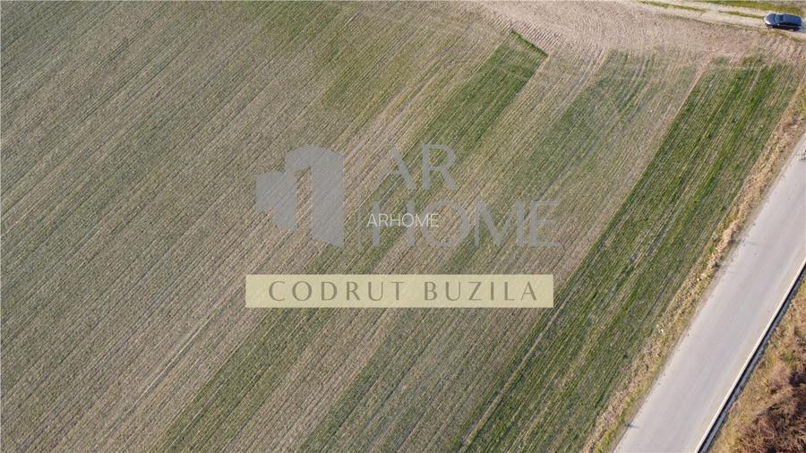 Teren intravilan 2500mp, Bucov - 4