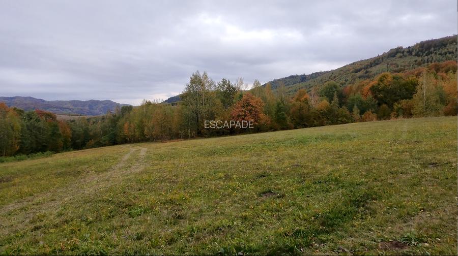 Teren extravilan, zona manastirii Sinca Noua 2652 mp - 2