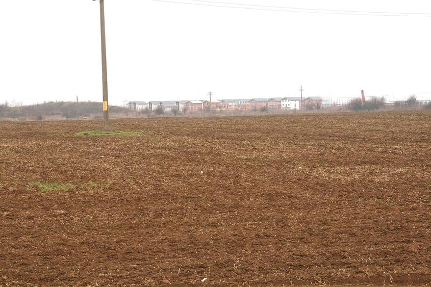 OTOPENI - Str. Drumul Garii Balotesti, 42100 mp. teren intravilan