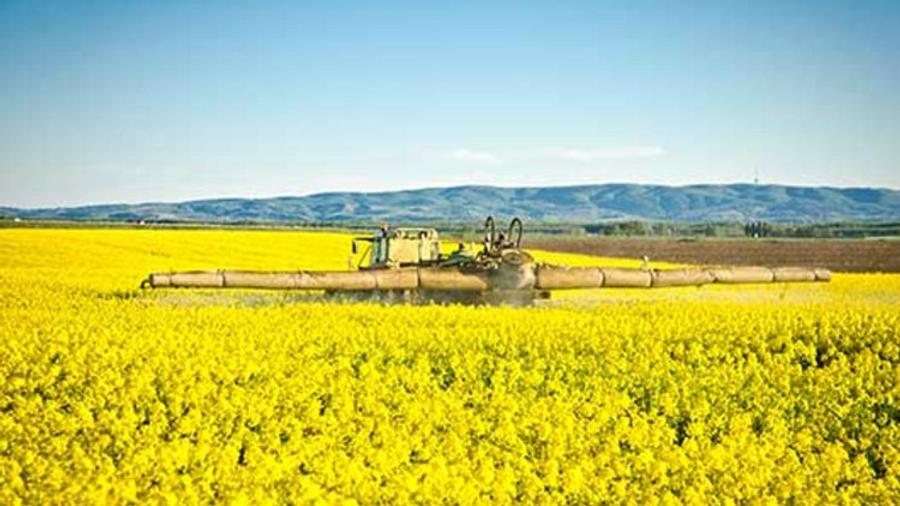 PORTOFOLIU AGRICOL PREMIUM 3.000 HA SUDUL ROMÂNIEI OPORTUNITATE INVESTIȚIONALĂ