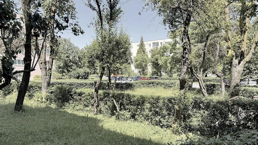 Disponibilitate Imediata