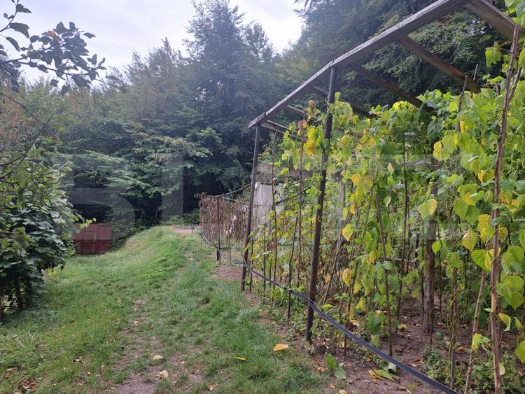 Casă de vânzare – Colonia 1 Mai 65.000 EURO
