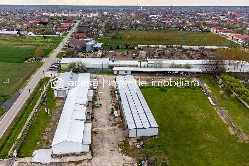 Hale depozitare/producție 2.000 mp si 10.000 mp teren în Pecica - 3