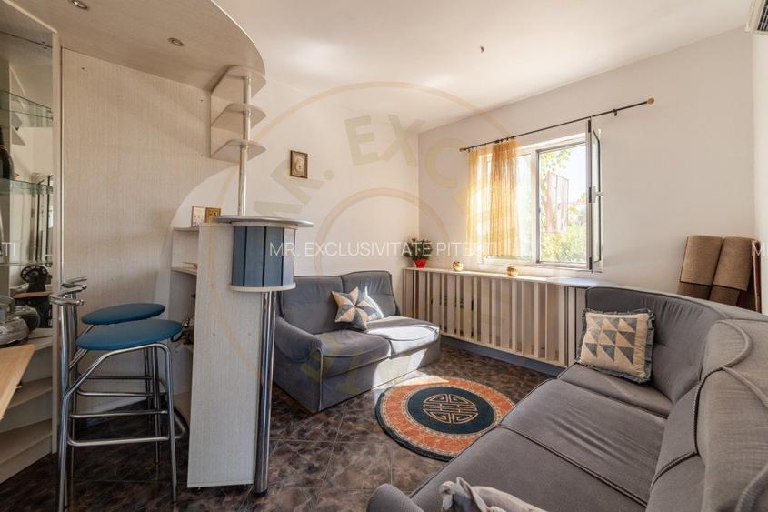 Casa visurilor cu 4000 mp livada roditoare si gradina Darmanesti-Arges - 20