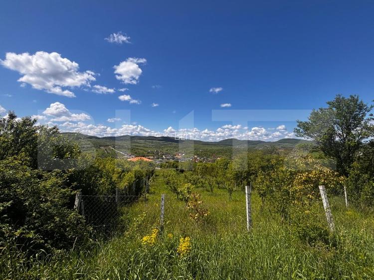 Teren extravilan de vanzare, 2500 mp, zona Valea Sigmirului - 4