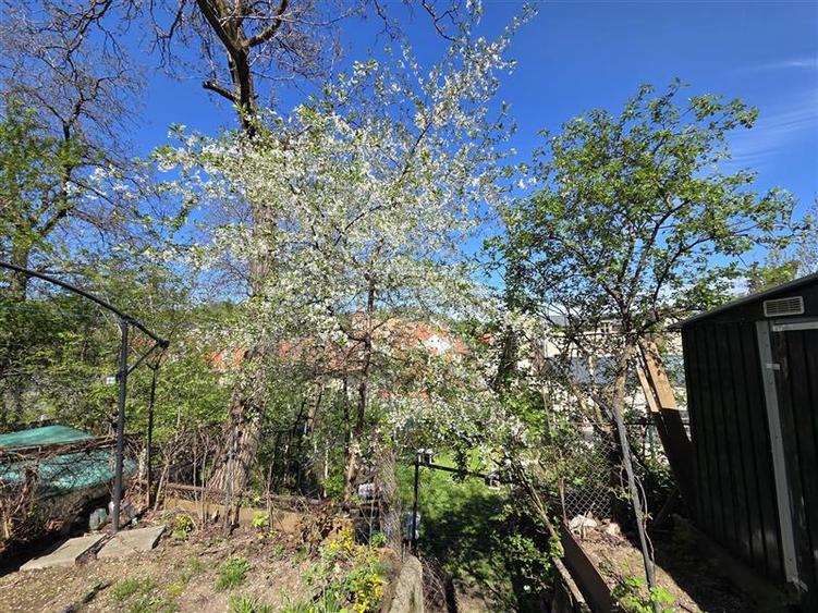 Apartament deosebit cu 3 camere str. Castelului
