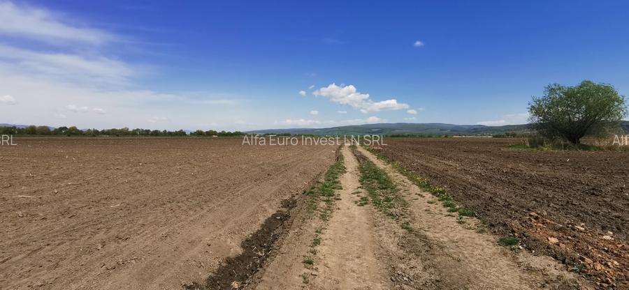 TEREN AGRICOL DE VANZARE - BOD - BRASOV 4,5 HA - 6