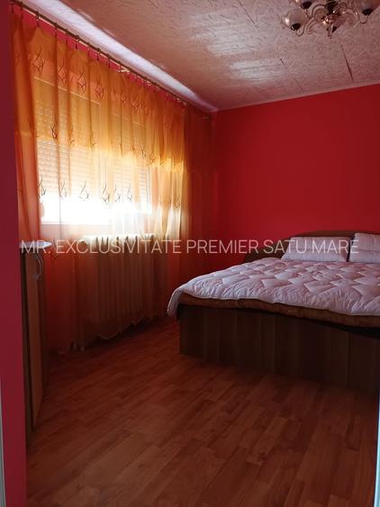 Vilă P+E de vânzare în Valea lui Mihai – 233 mp, teren 733 mp - 20
