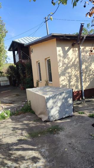 Case și teren Curtisoara
