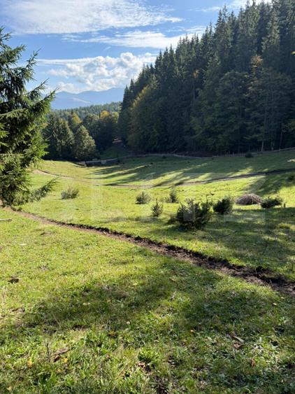 Teren intravilan+extravilan in suprafata de 39 ari,zona Colibita