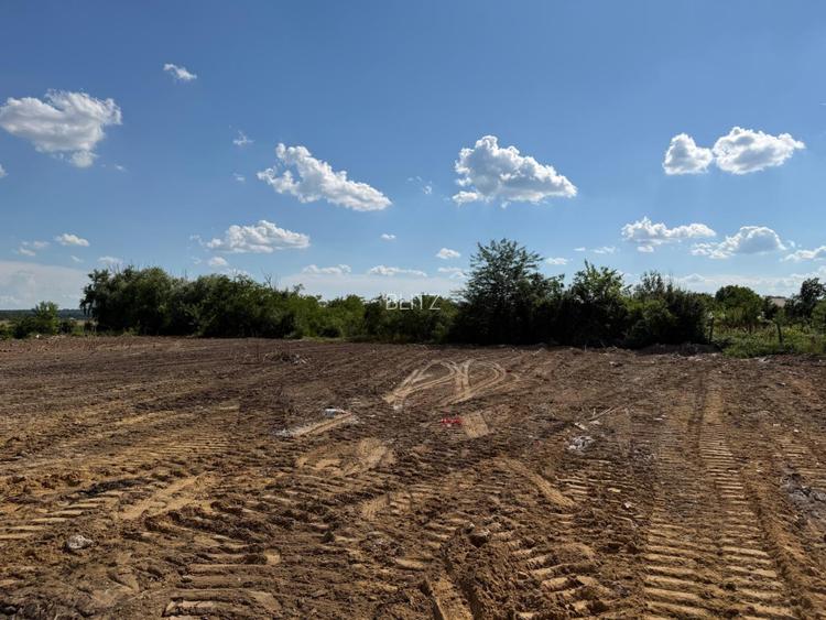 Teren intravilan, 350 mp, front 15 m, toate utilitatile, zona Brestei - 3