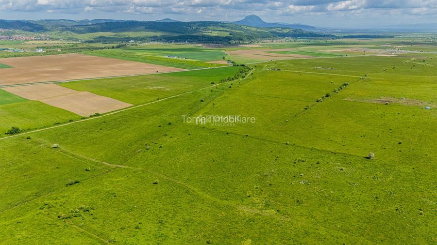 Teren de investiție în zona Tohanul Nou - Bran  5.800 mp - 14