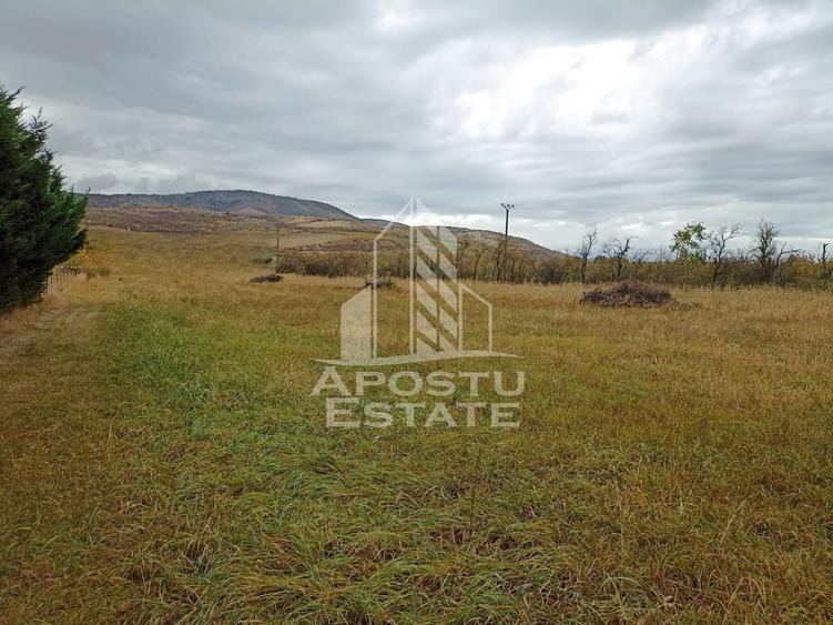 Teren 3800 Mp Ghioroc cu Utilitati