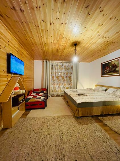 Casa de vacanta zona Tara Fagarasului - Arpasu de Jos
