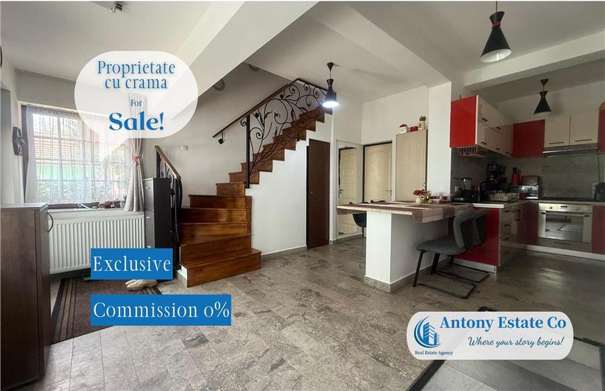 Proprietate cu crama, Ultracentral, casa de vanzare, Oradea, Bihor