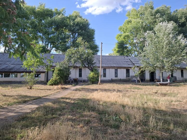 Ferma cu teren agricol de vanzare in Nadlac