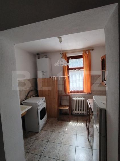Casa de vacanta cocheta in Sovata Bai - 12