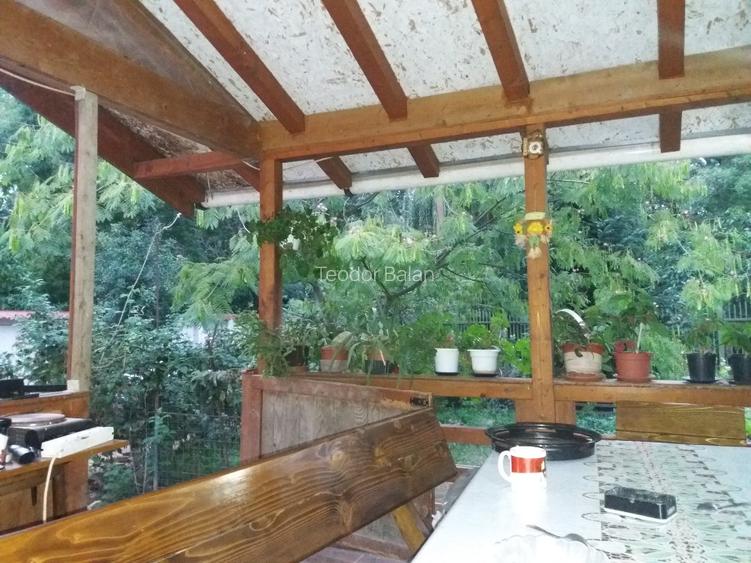Vând casă în orașul Buziaș sau schimb cu apartament la parter, în Timișoara. - 6