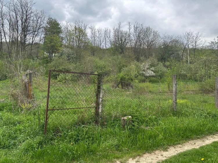 Imobil comercial/turistic S+P+2 - oportunitate investitie Muereasca ( Valcea)