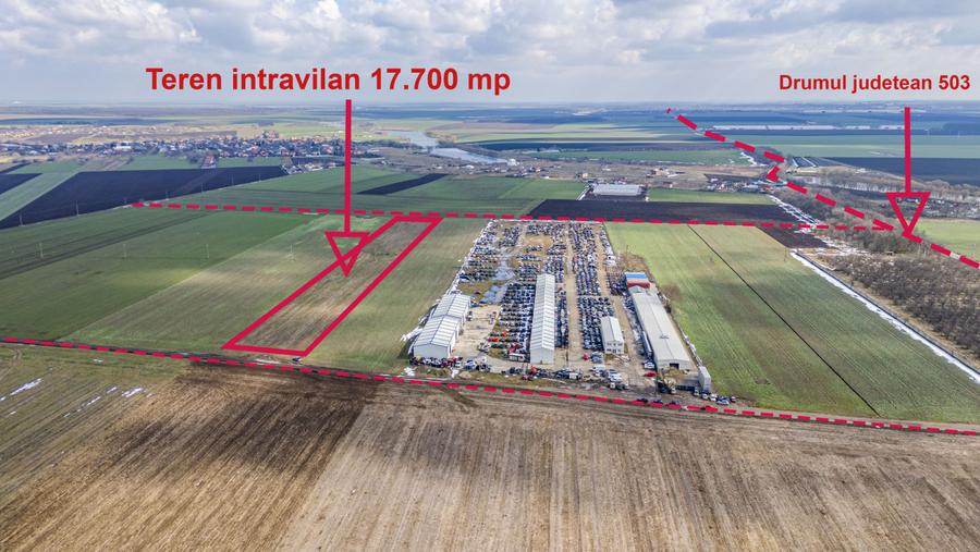 Teren intravilan Belciugatele*300 m de DN*Linie de tensiune medie*Plata in rate