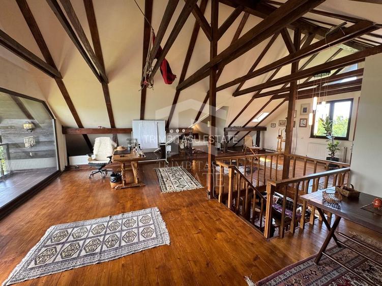Casa autentica maramureseana de vanzare in Snagov-Tancabesti - 17