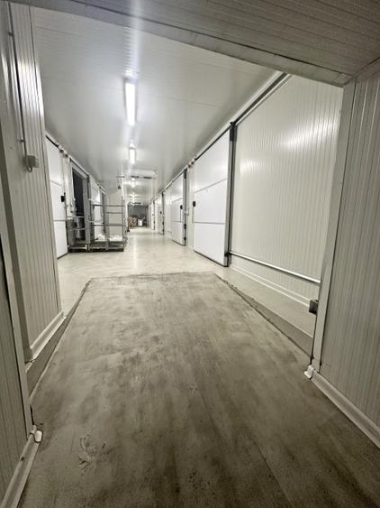 Hale frigorifice de închiriat în zona Est, Centura Oradea, Bihor