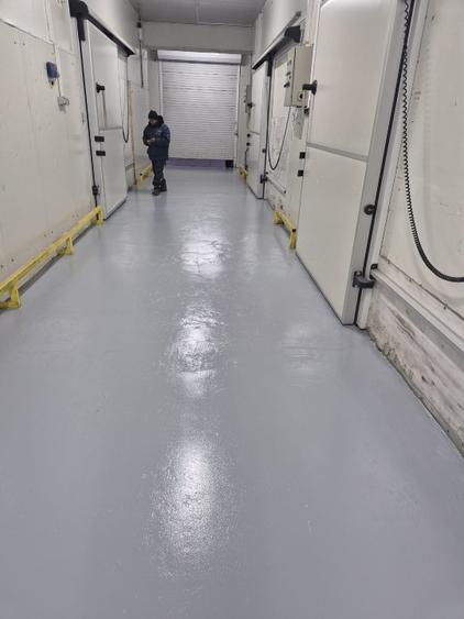 Depozit frig congelate Constanta Ovidiu
