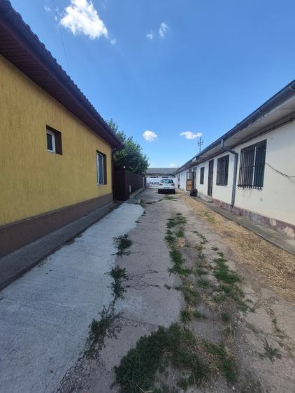 Lehliu gara casa