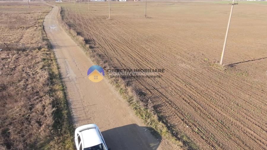 Teren investiție intravilan 3600 mp – Dumbrava Roșie - 5
