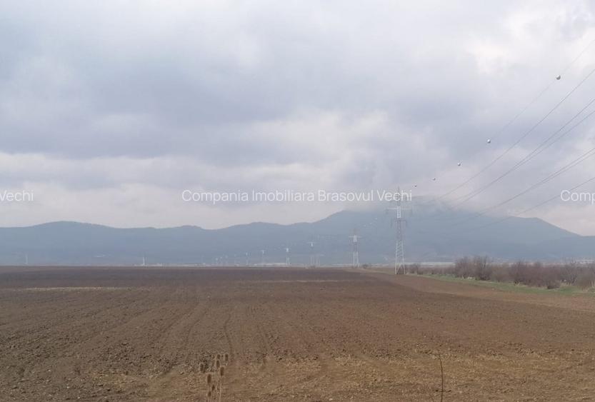 Ghimbav, teren intravilan pentru complex rezidential. - 2