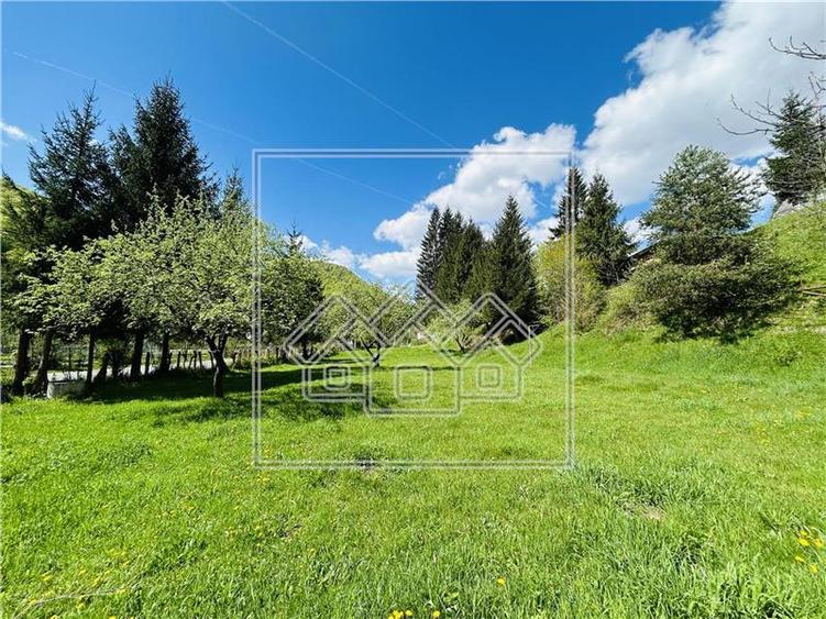 Complex turistic complet functional-zona Raul Sadului-afacere la cheie