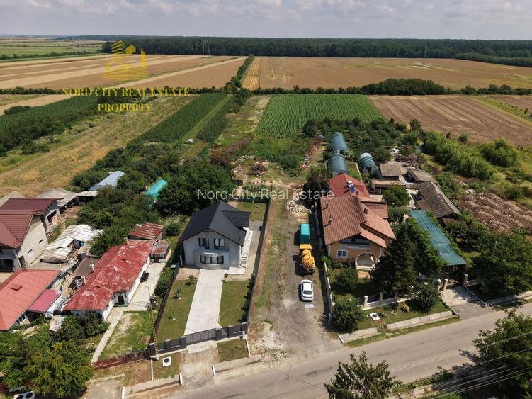 Teren 2.700 mp Ciocănești - Urziceanca | La asfalt - 14